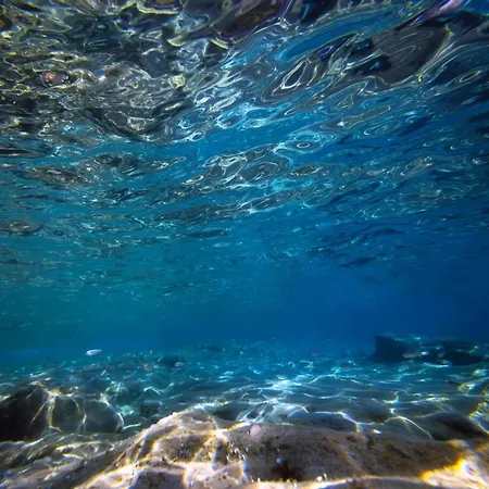 Dream * Tropea