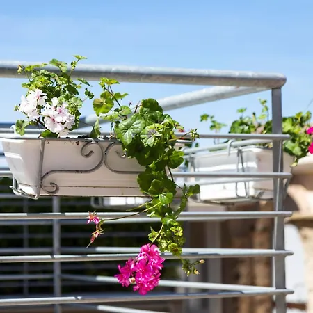 Dream Guest house Tropea