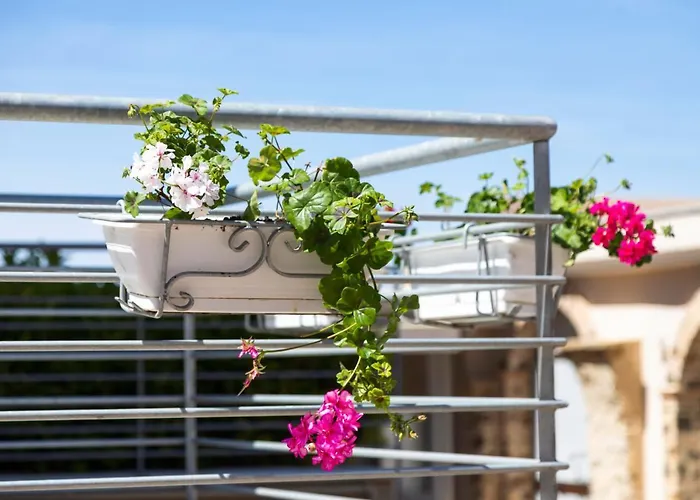 Dream Pensjonat Tropea